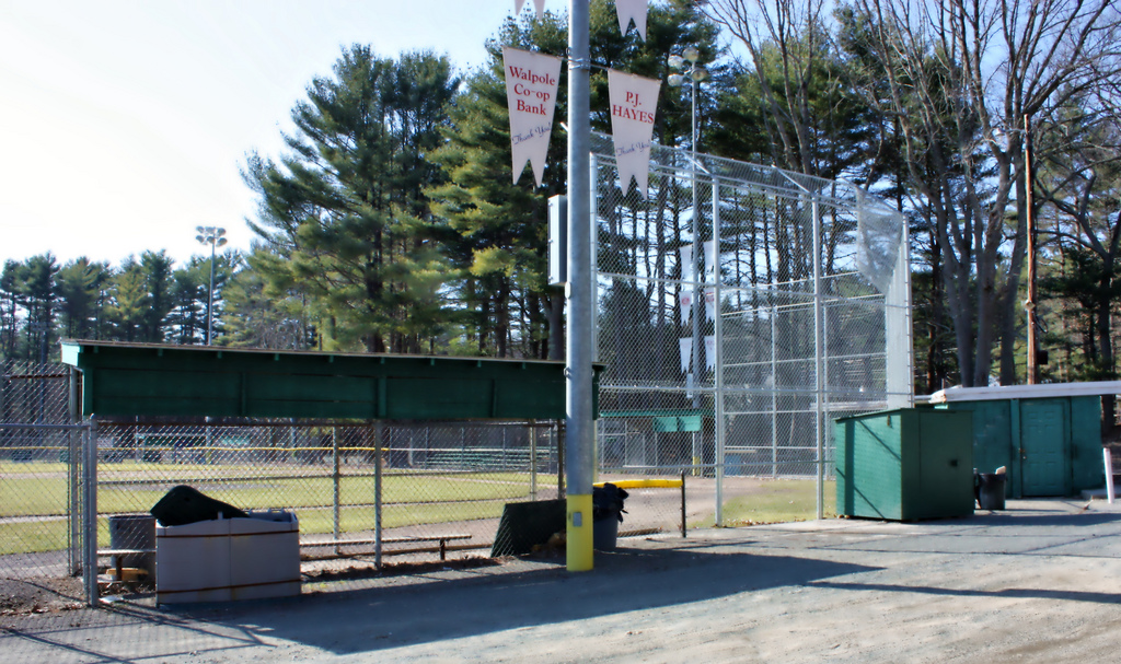 3356878015_0ed96d04d4_b